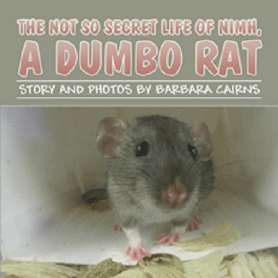 Cover of Nimhs Book "a Dumbo Rat"