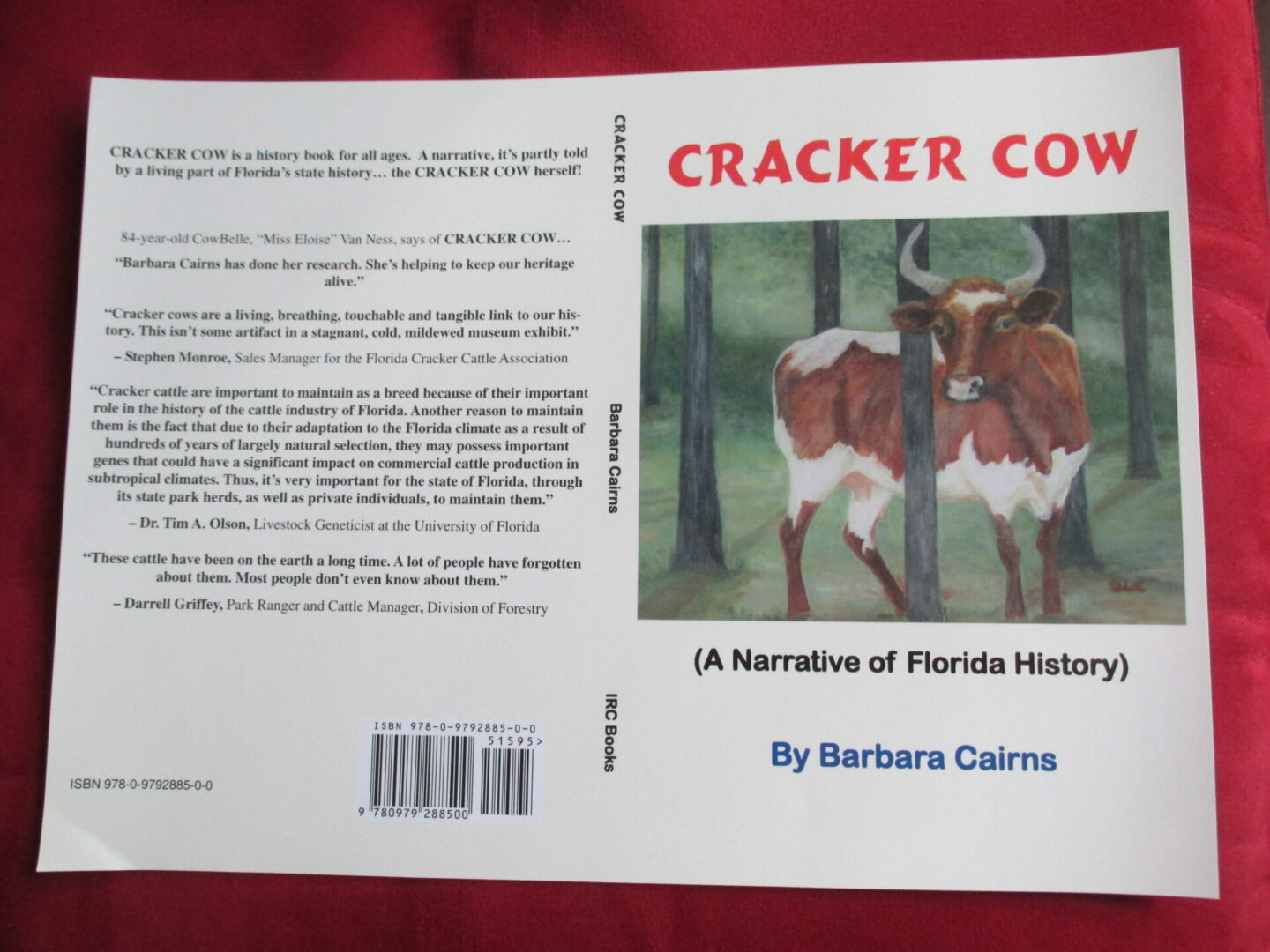 Cracker Cow by Barbara Cairns